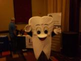 ASI Career Institute Molar